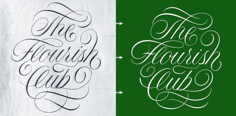 Flourishes from sketch to vector